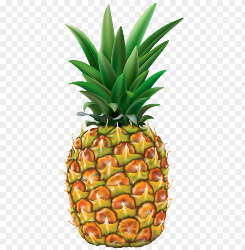 Detail Pineaple Png Nomer 45