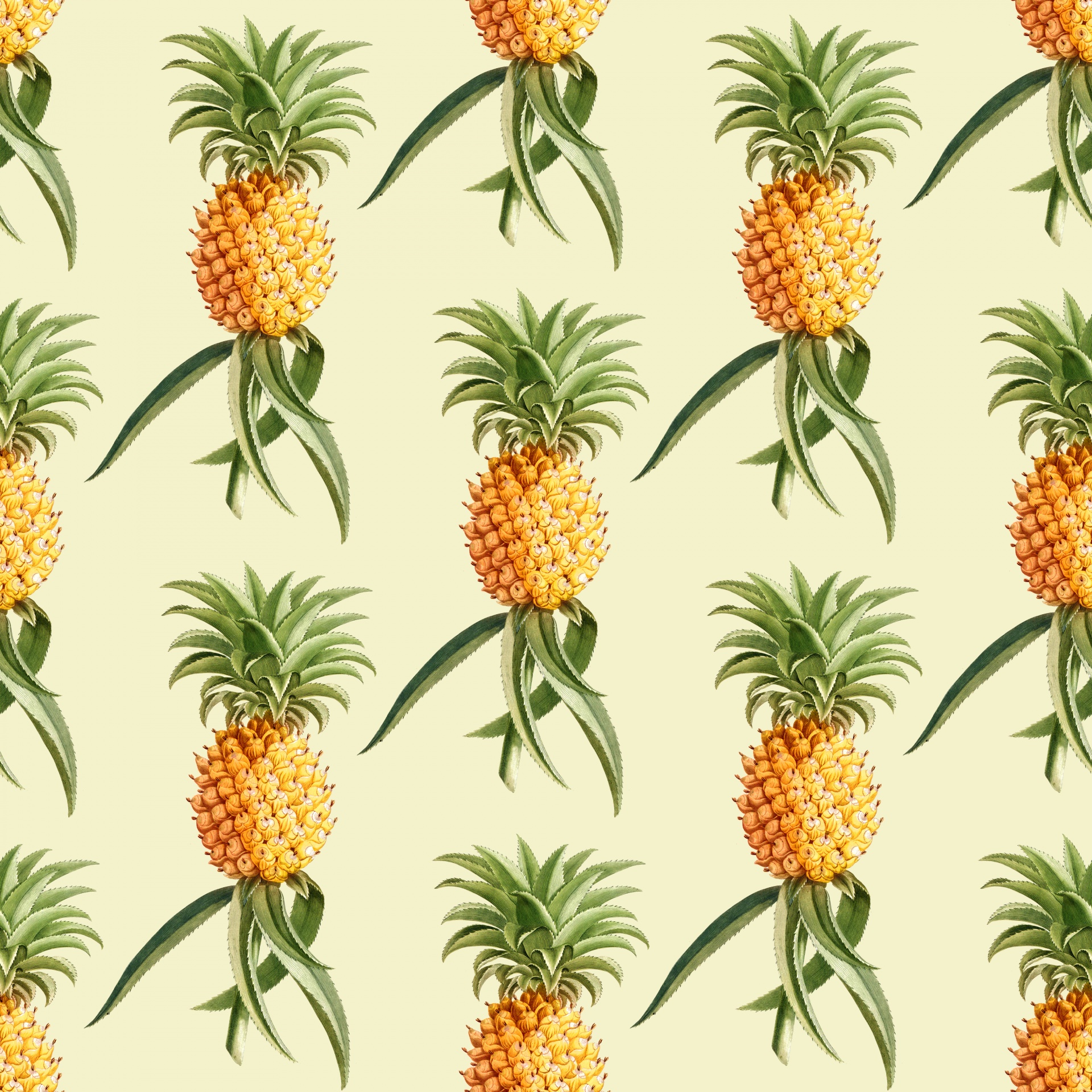Detail Pineapple Background Free Nomer 37