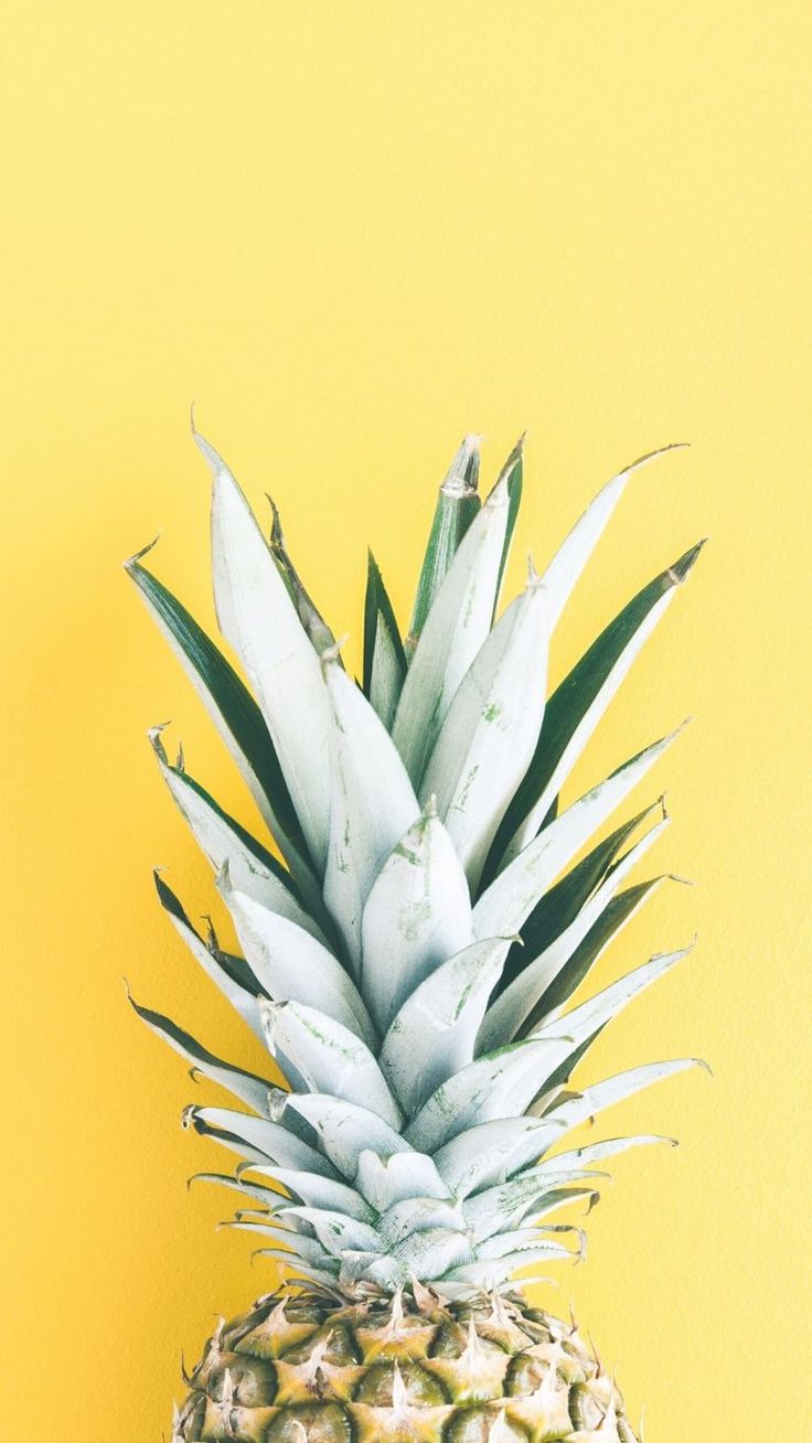 Detail Pineapple Background Free Nomer 46