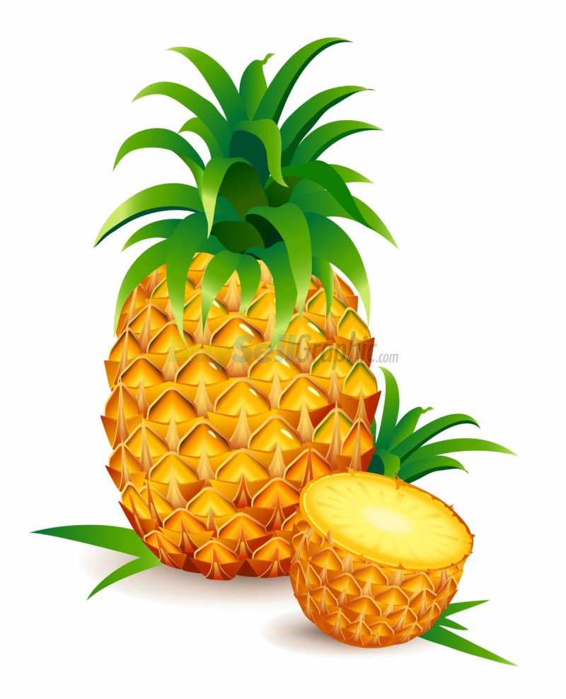 Detail Pineapple Clipart Free Nomer 17