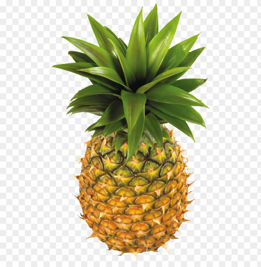 Detail Pineapple Clipart Png Nomer 28