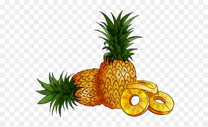 Detail Pineapple Clipart Png Nomer 30