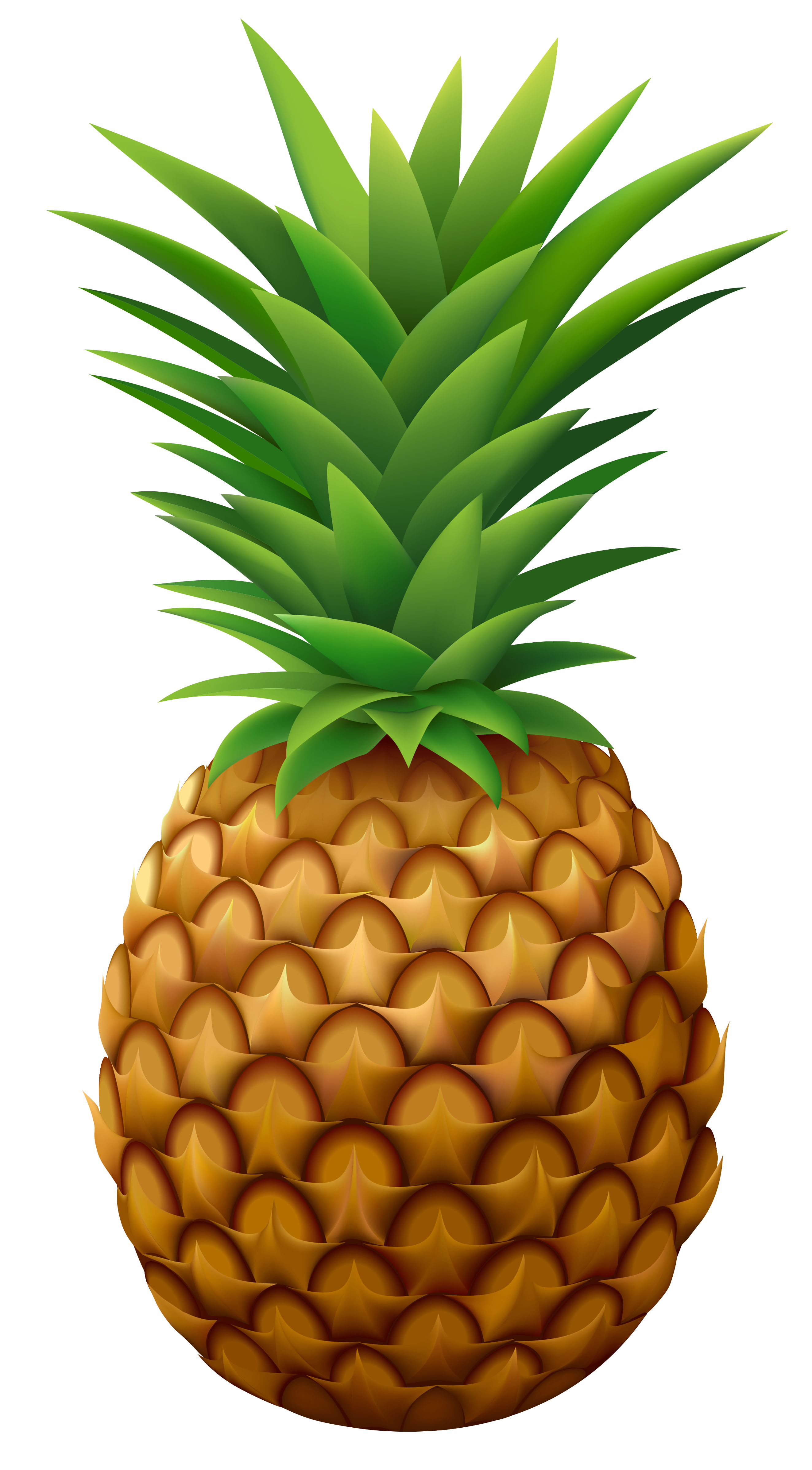 Detail Pineapple Clipart Png Nomer 4