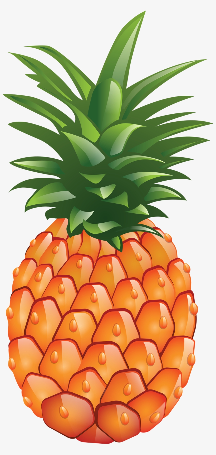 Detail Pineapple Download Nomer 16