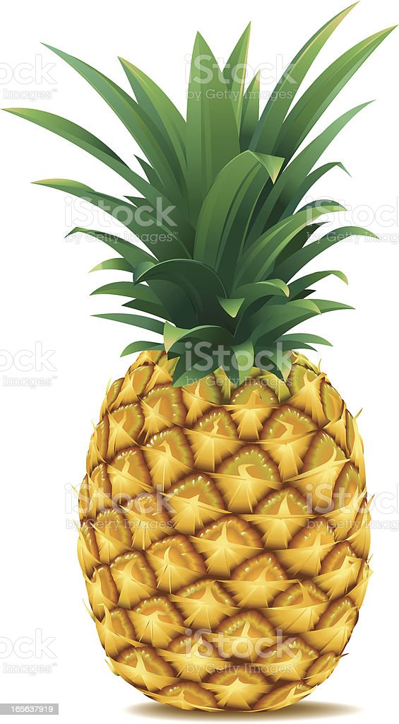 Detail Pineapple Download Nomer 22
