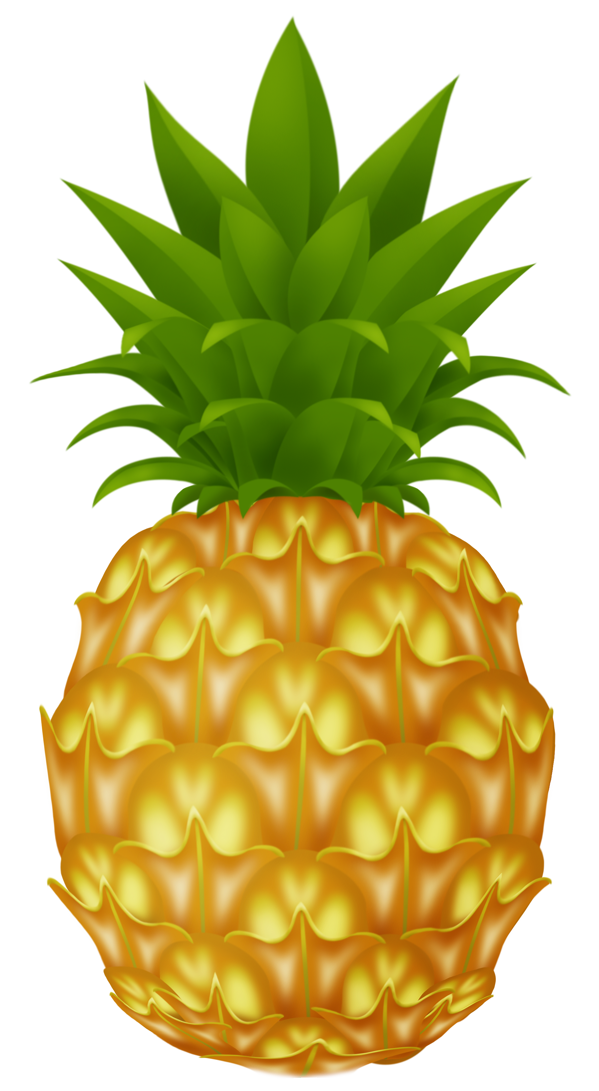 Detail Pineapple Download Nomer 27