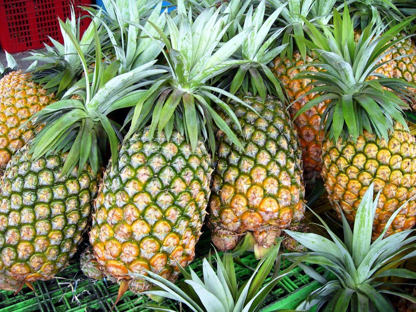 Detail Pineapple Download Nomer 36