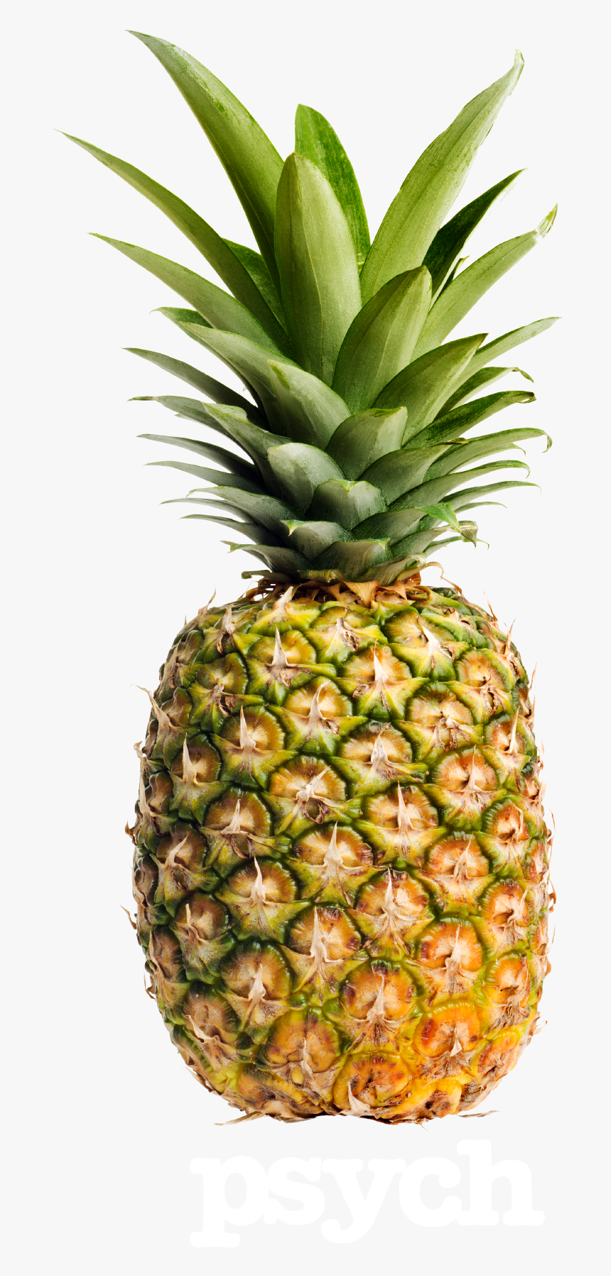 Detail Pineapple Hd Nomer 25