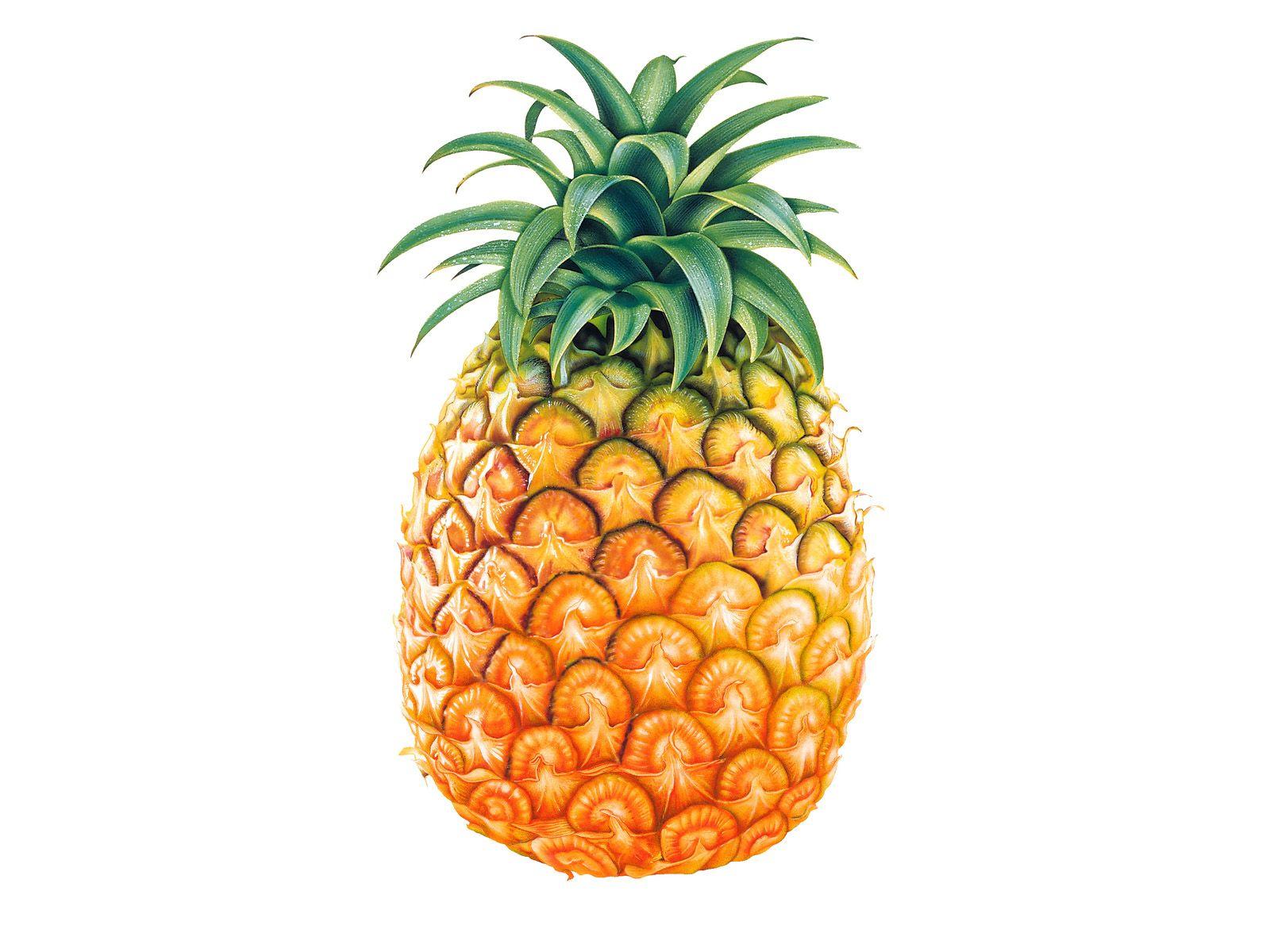 Detail Pineapple Hd Nomer 4