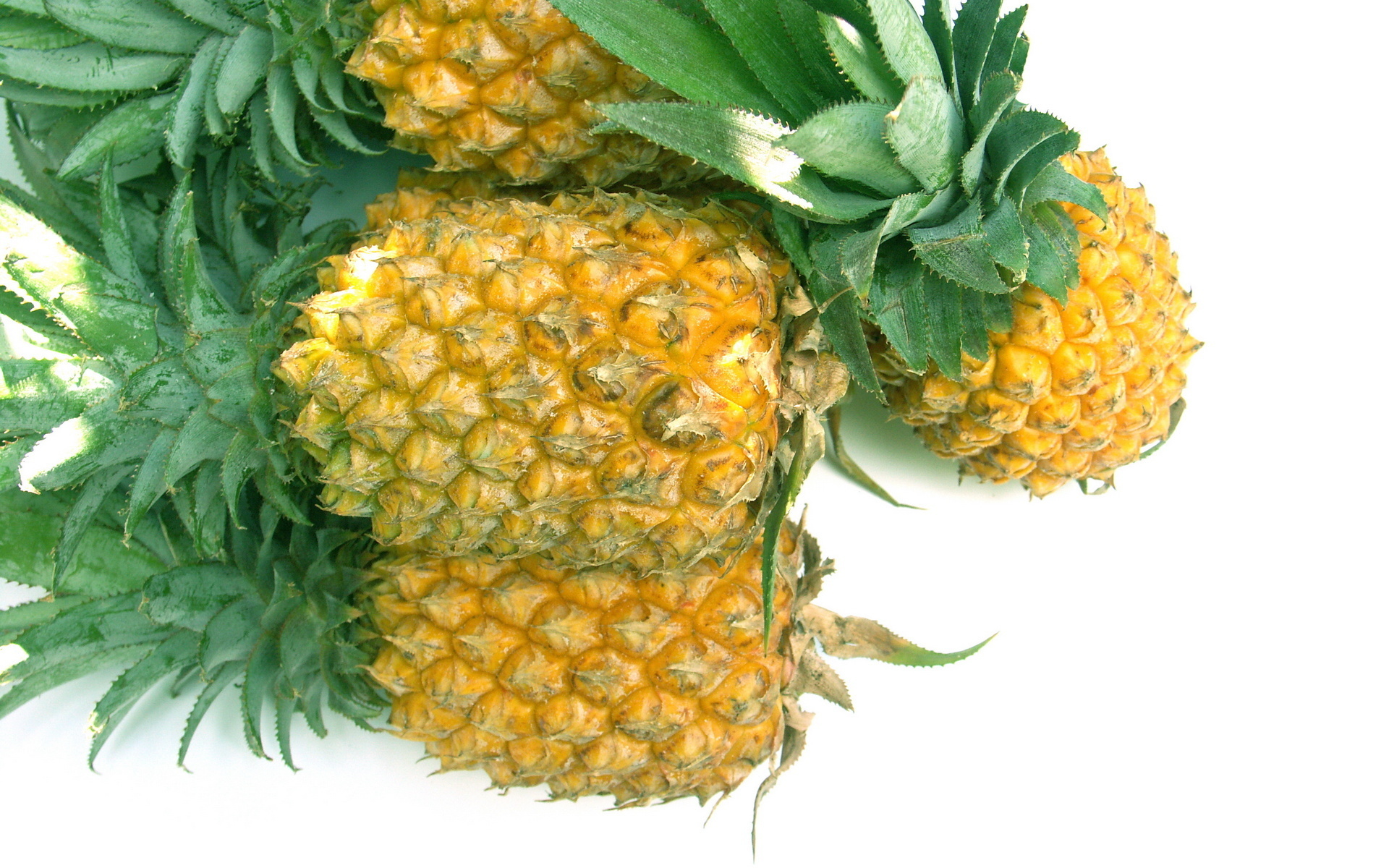 Detail Pineapple Hd Nomer 28