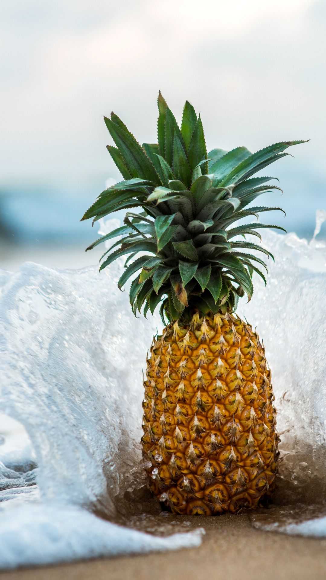 Detail Pineapple Hd Nomer 34