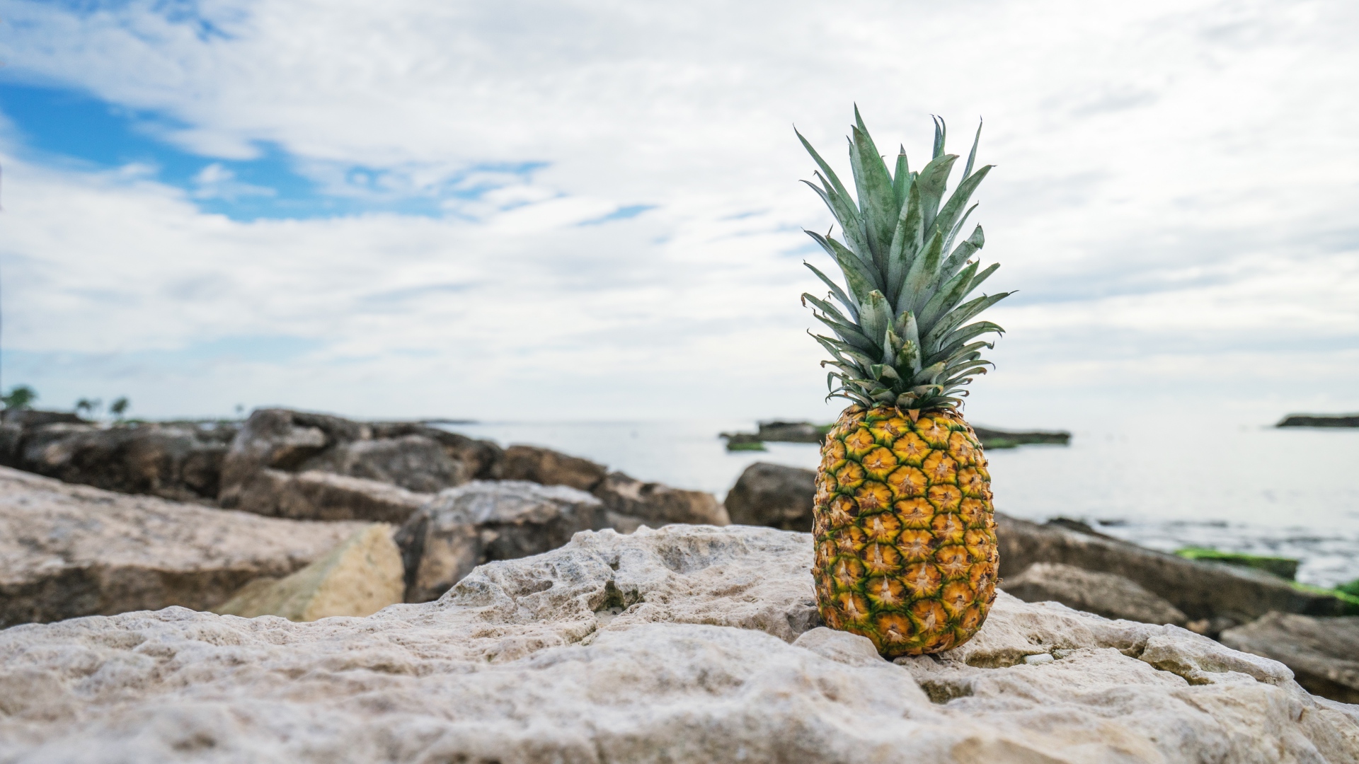 Detail Pineapple Hd Nomer 36