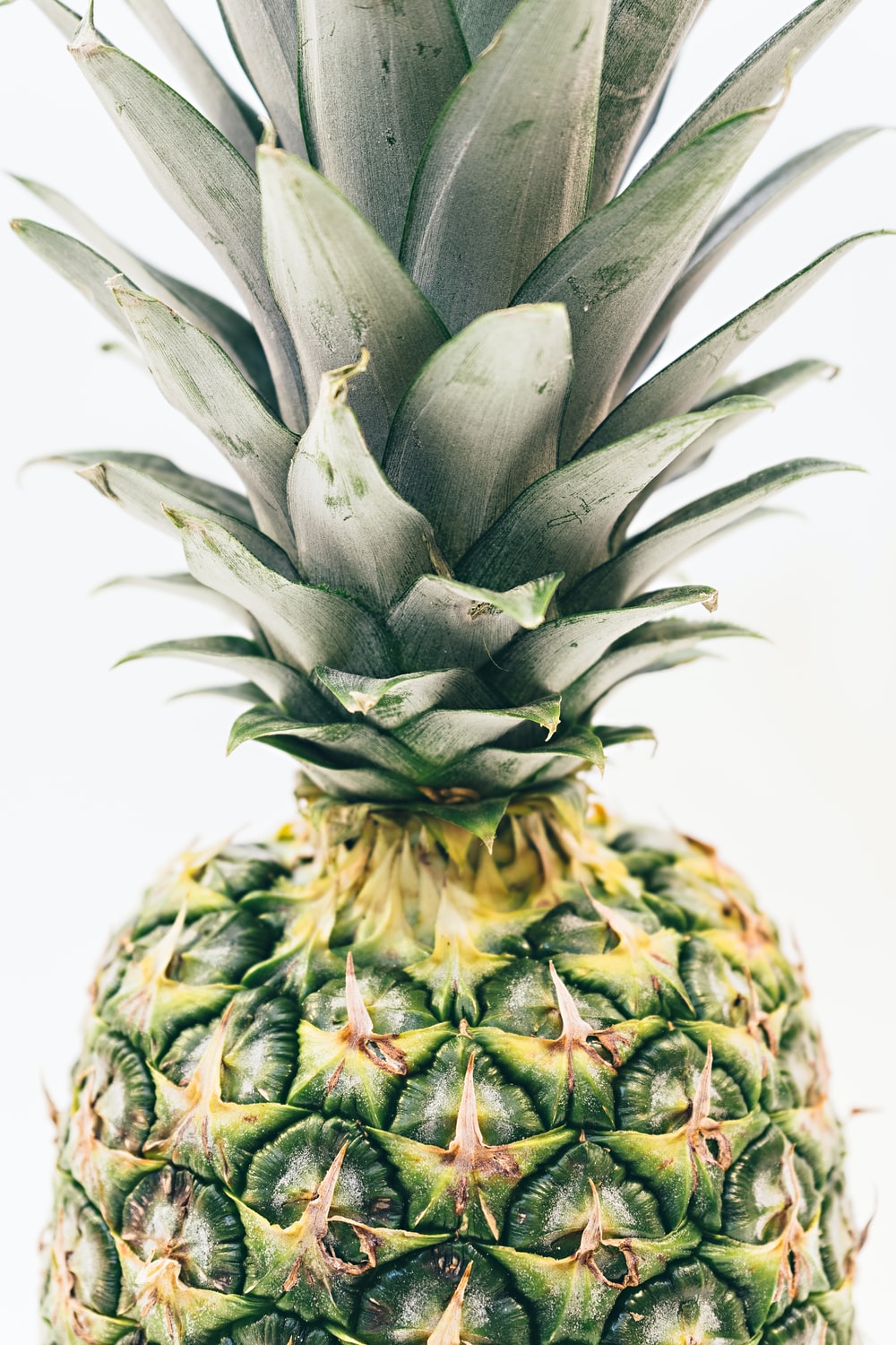 Detail Pineapple Hd Nomer 38