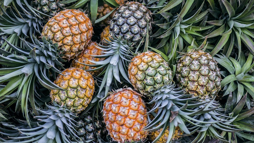 Detail Pineapple Hd Nomer 6