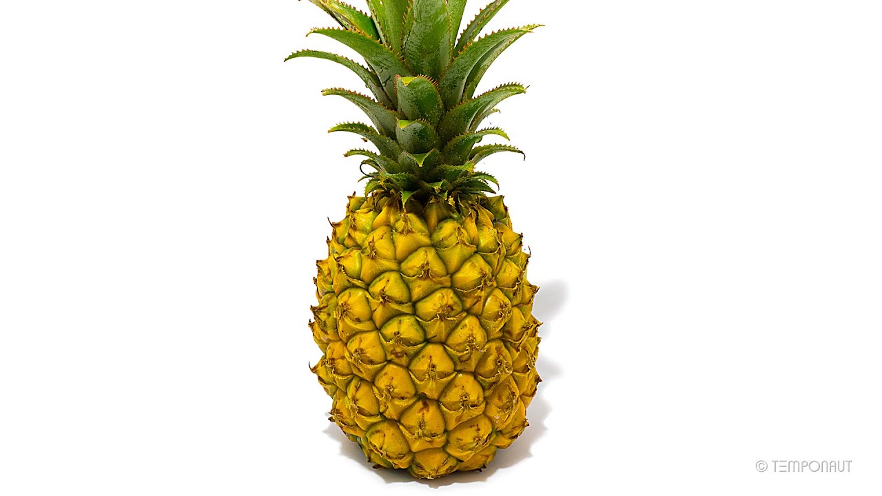 Detail Pineapple Image Nomer 26