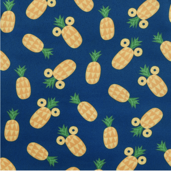 Detail Pineapple Mickey Ears Nomer 24