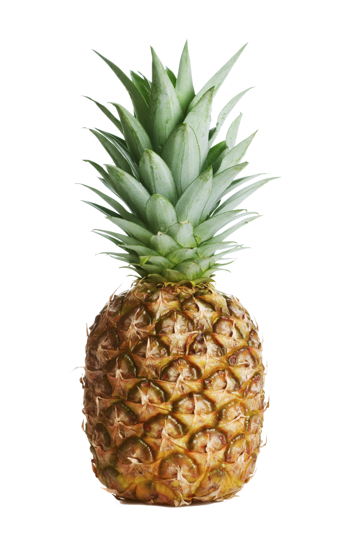 Pineapple No Background - KibrisPDR