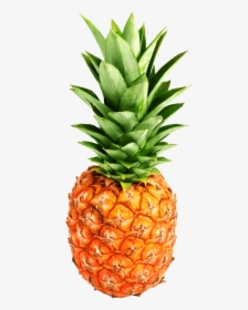 Detail Pineapple No Background Nomer 10