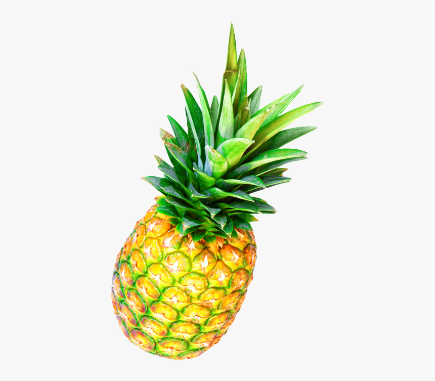 Detail Pineapple No Background Nomer 13