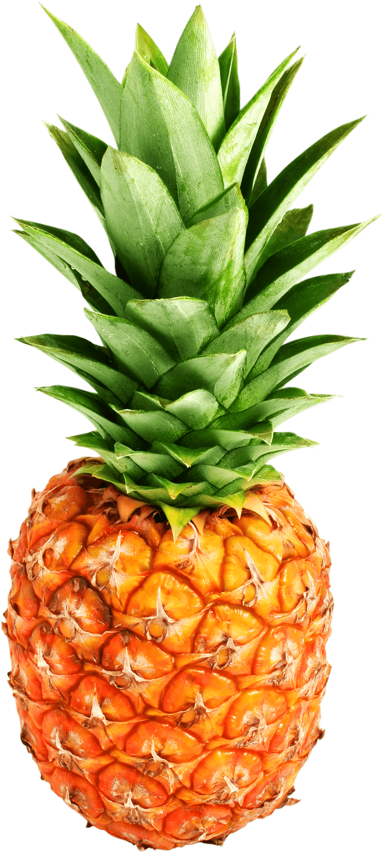 Detail Pineapple No Background Nomer 15