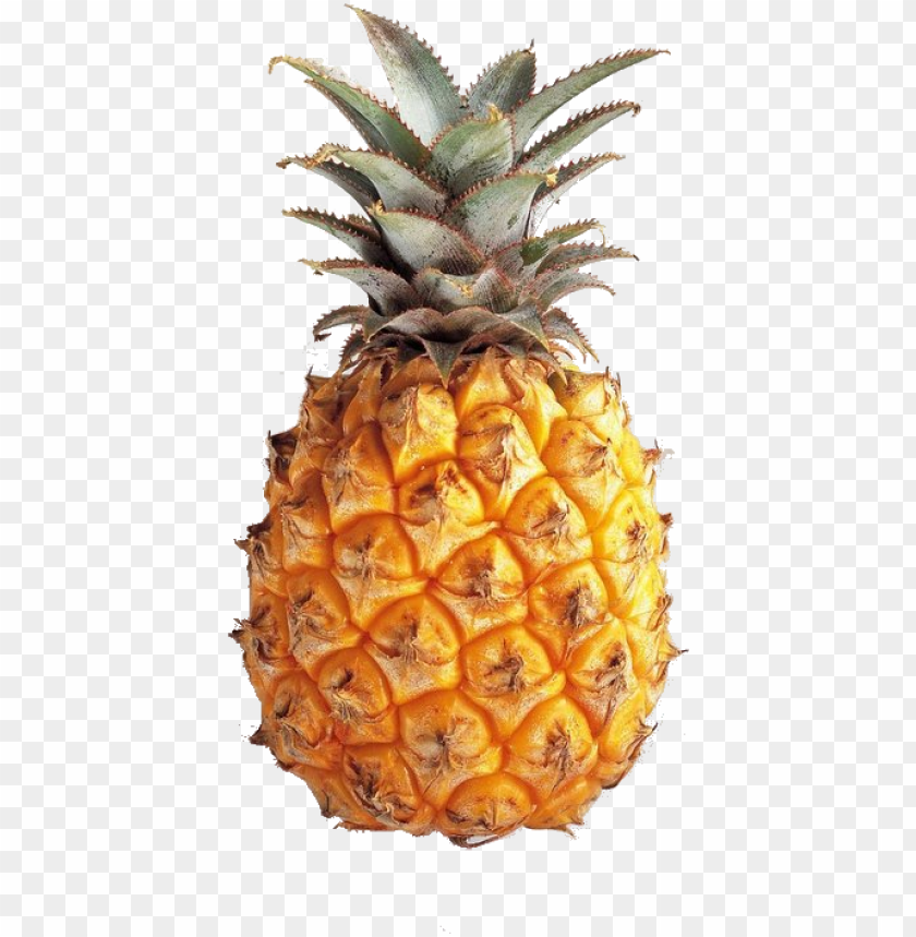 Detail Pineapple No Background Nomer 2