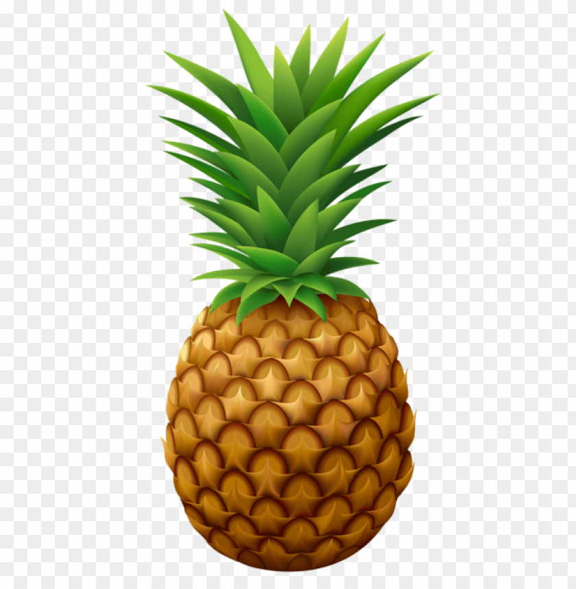 Detail Pineapple No Background Nomer 20