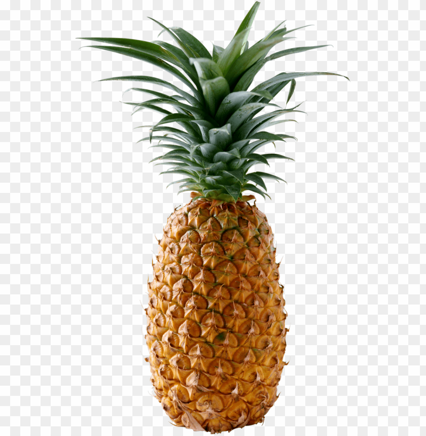 Detail Pineapple No Background Nomer 21