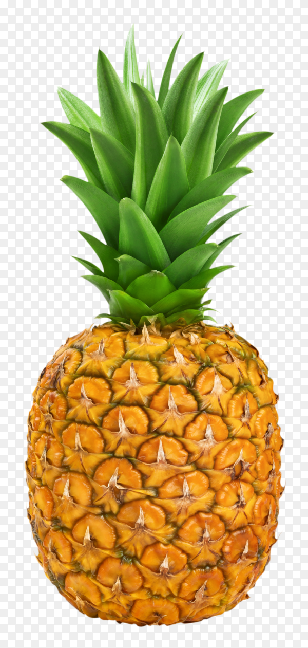 Detail Pineapple No Background Nomer 23