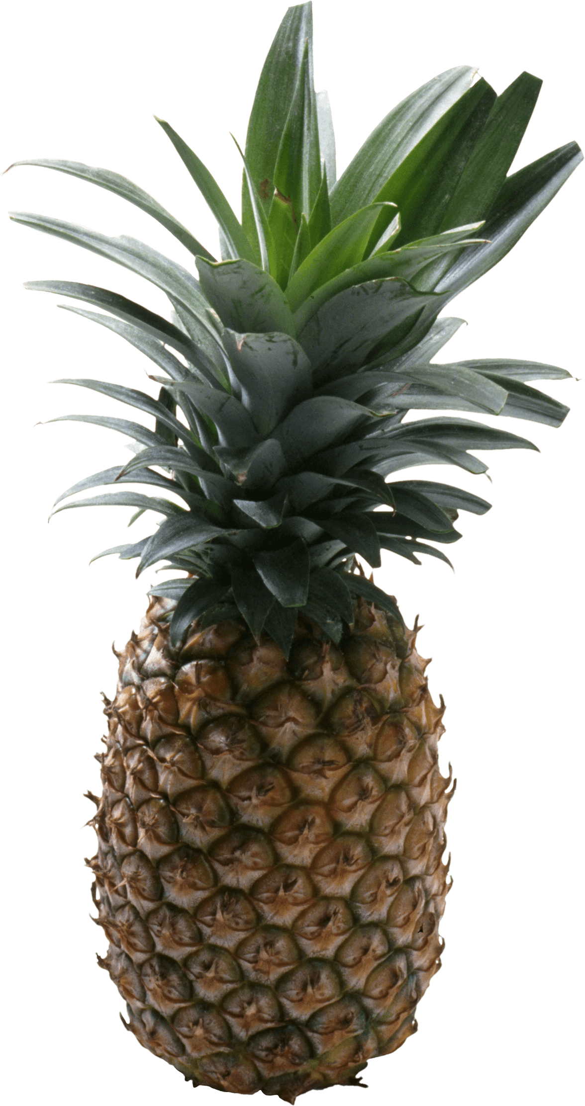 Detail Pineapple No Background Nomer 24