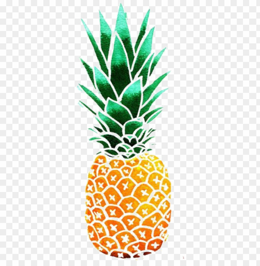 Detail Pineapple No Background Nomer 25