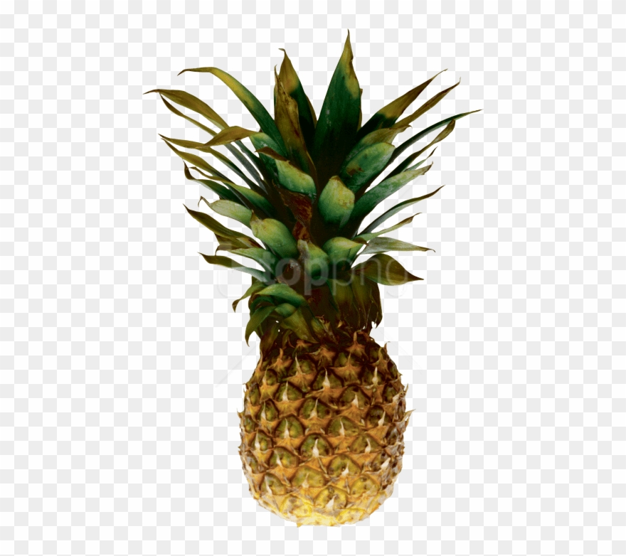 Detail Pineapple No Background Nomer 29