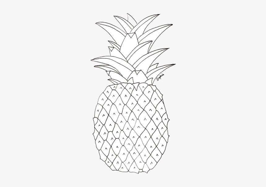 Detail Pineapple No Background Nomer 31
