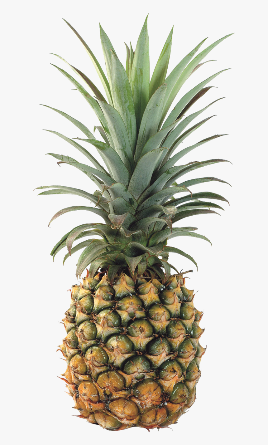 Detail Pineapple No Background Nomer 32