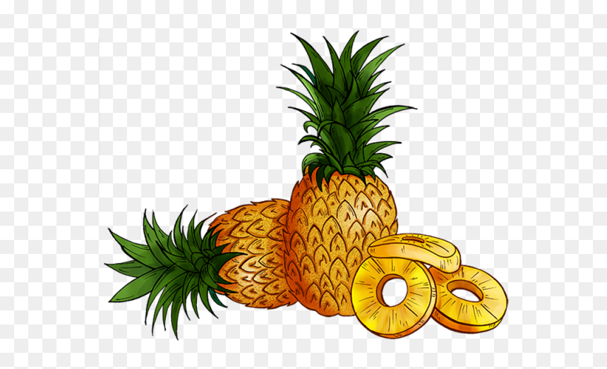 Detail Pineapple No Background Nomer 34