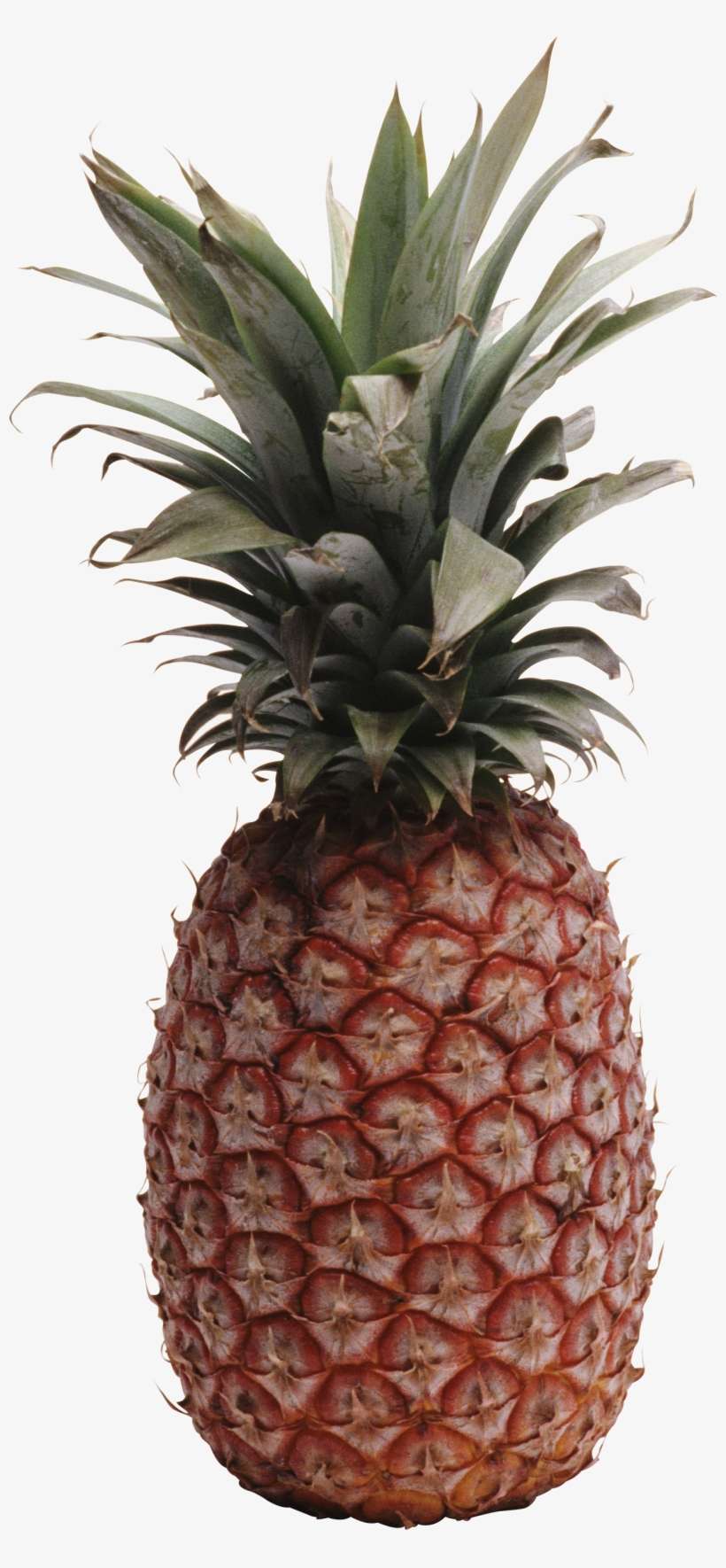 Detail Pineapple No Background Nomer 36