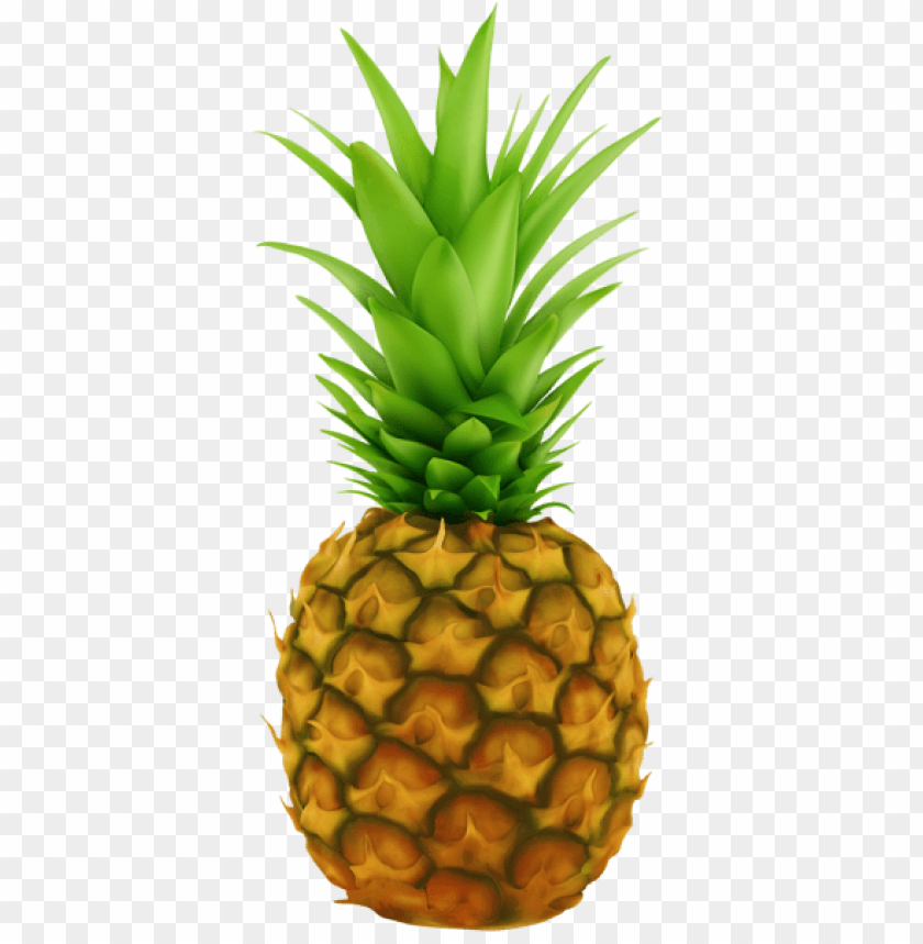 Detail Pineapple No Background Nomer 4