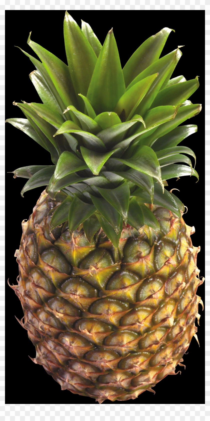 Detail Pineapple No Background Nomer 40