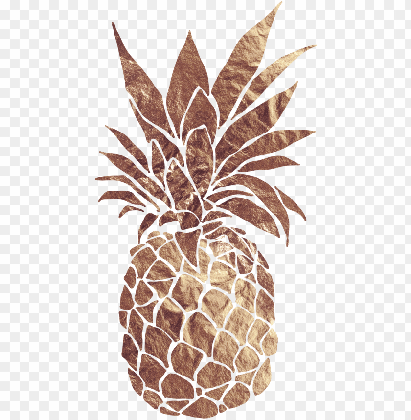 Detail Pineapple No Background Nomer 48