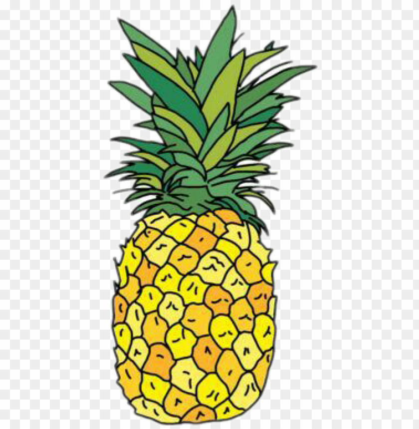 Detail Pineapple No Background Nomer 54