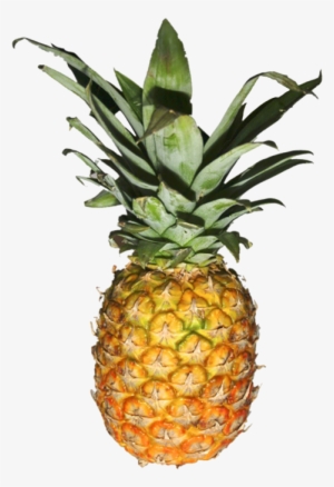Detail Pineapple No Background Nomer 55