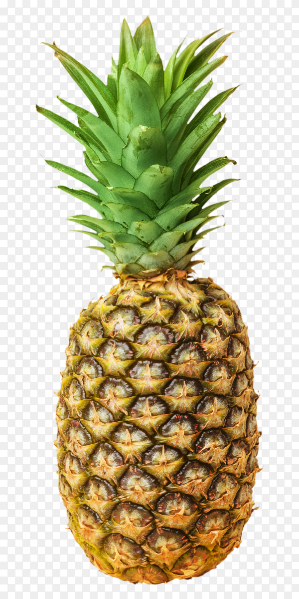 Detail Pineapple No Background Nomer 7