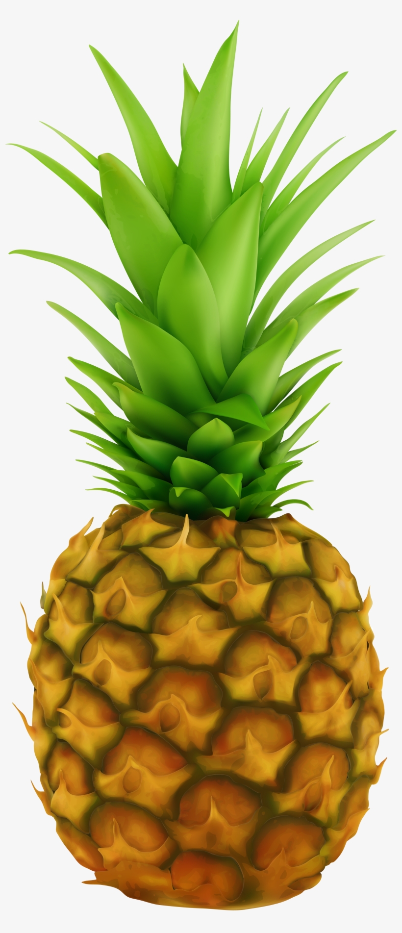 Detail Pineapple No Background Nomer 8