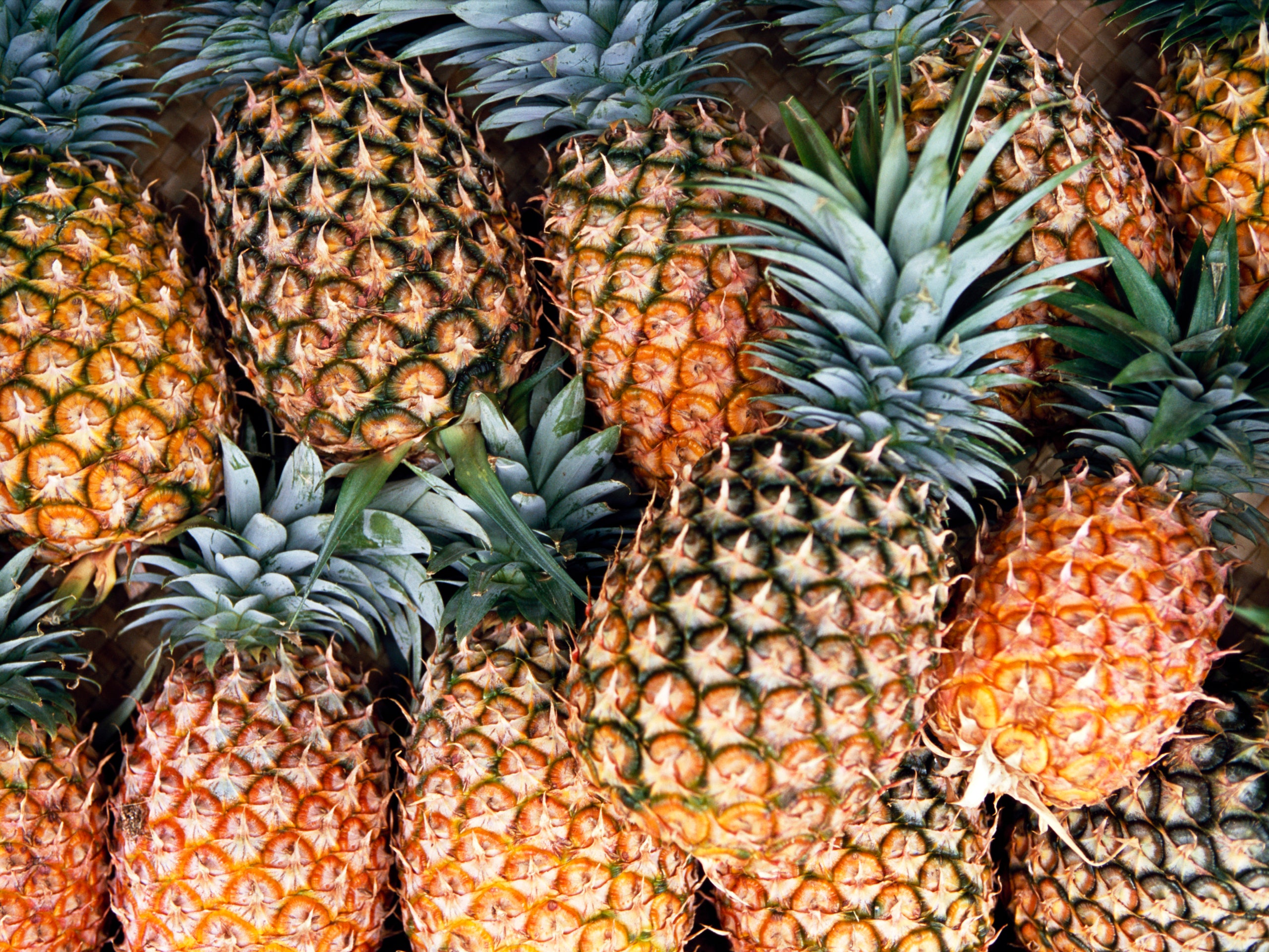 Detail Pineapple Pic Nomer 5