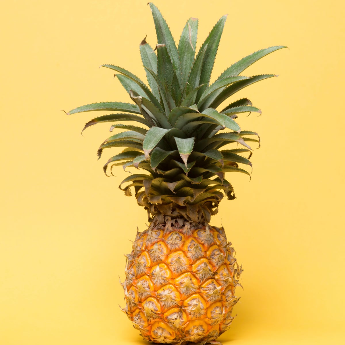Detail Pineapple Pics Nomer 6