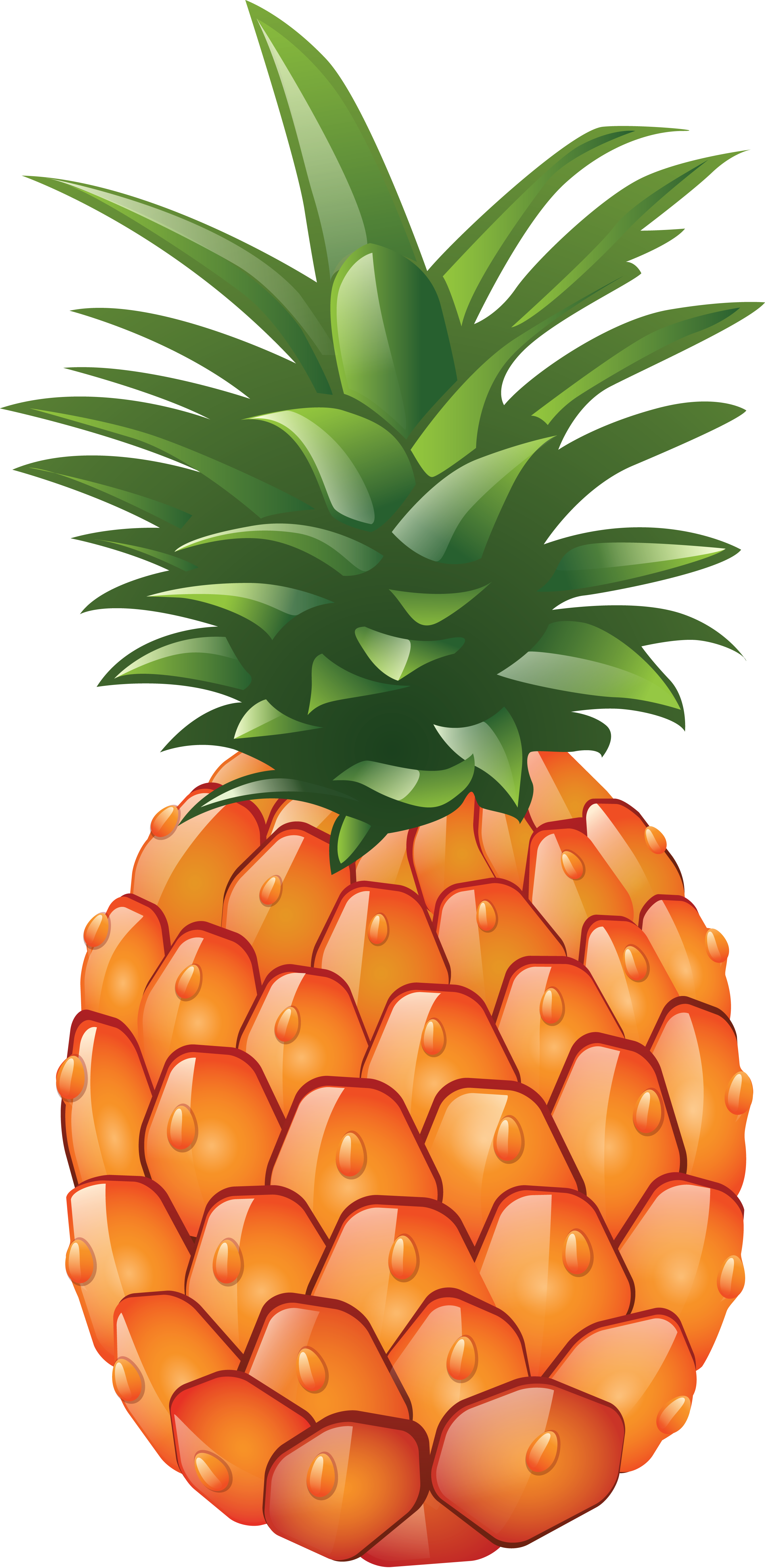 Detail Pineapple Png Clipart Nomer 9