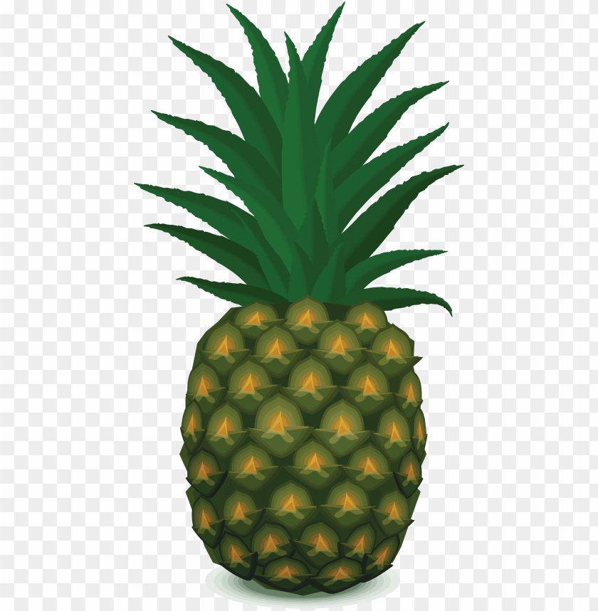 Detail Pineapple Png Clipart Nomer 32