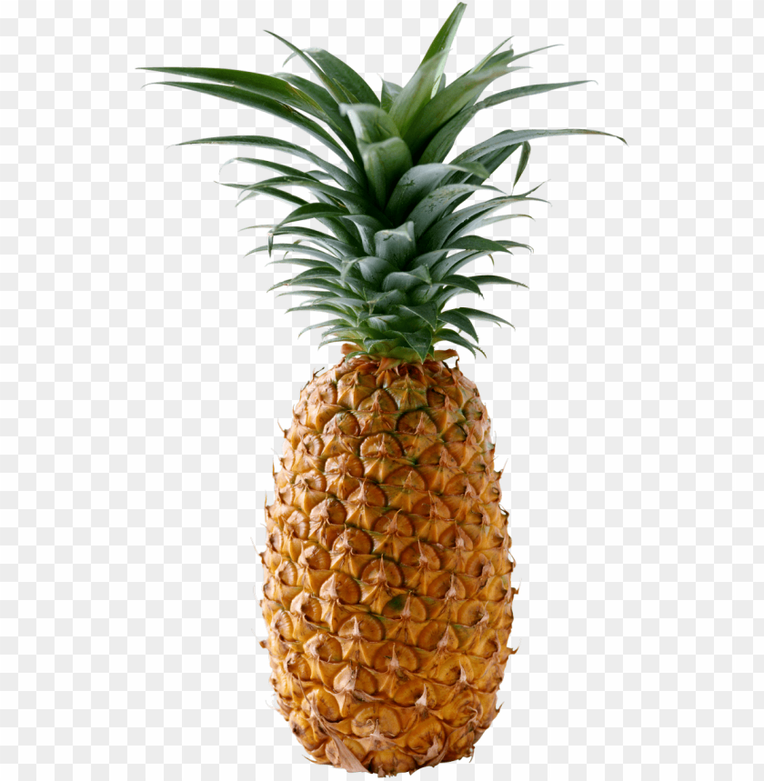 Pineapple Png Free - KibrisPDR