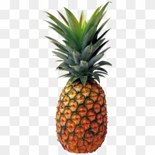 Detail Pineapple Png Free Nomer 14