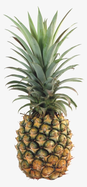 Detail Pineapple Png Free Nomer 32