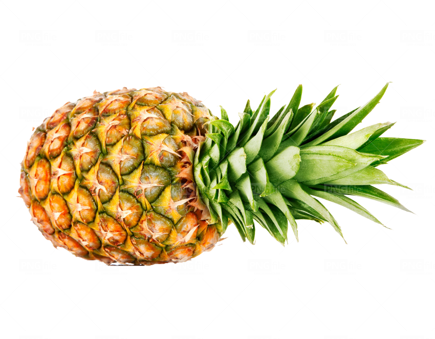 Detail Pineapple Png Free Nomer 51